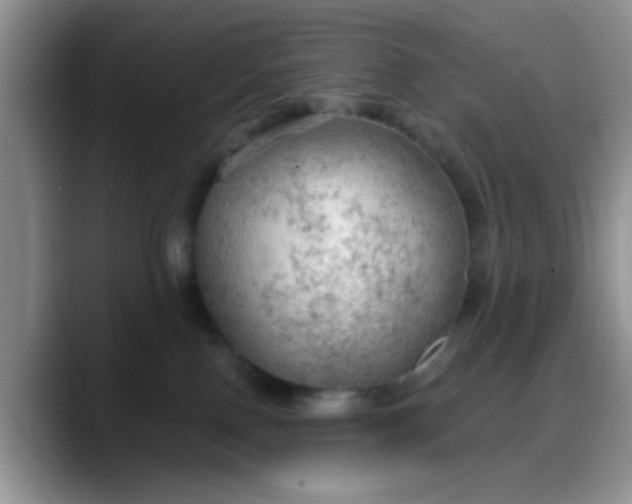 X0000088180090200705292000