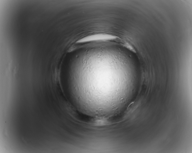 X0000088180093200705292000