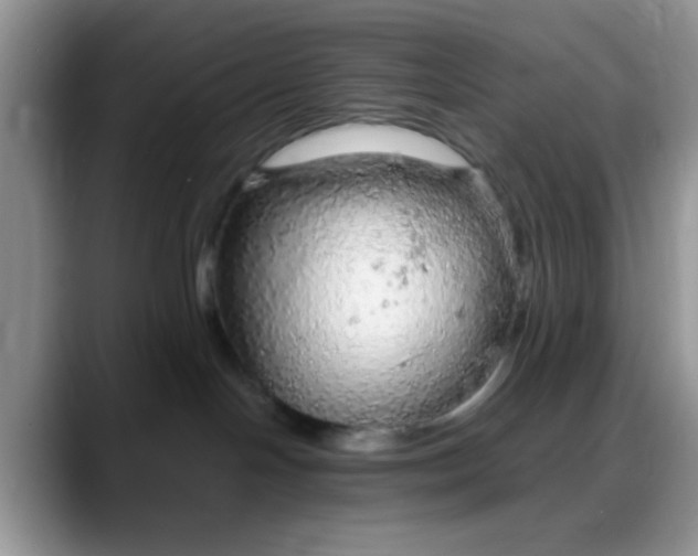 X0000088180094200705292001