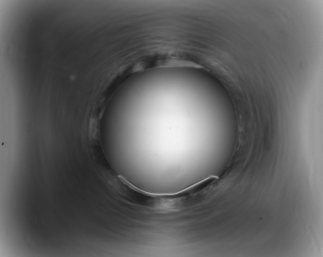 X0000088180096200705292001