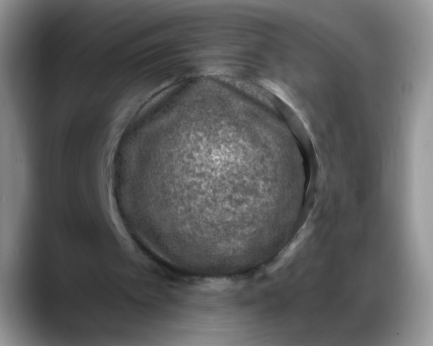 X0000088180097200705292000