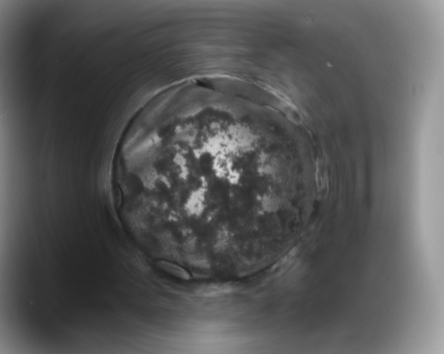 X0000088180099200705292000