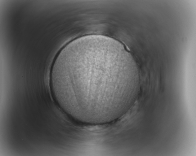 X0000088180100200705292000