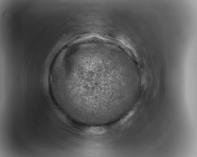 X0000088180101200705292000