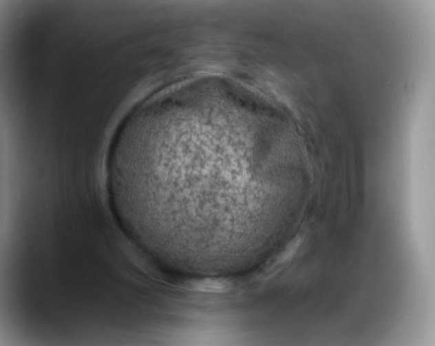 X0000088180102200705292000