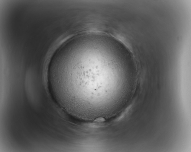 X0000088180103200705292000