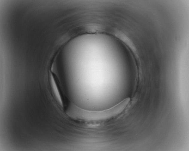 X0000088180105200705292000