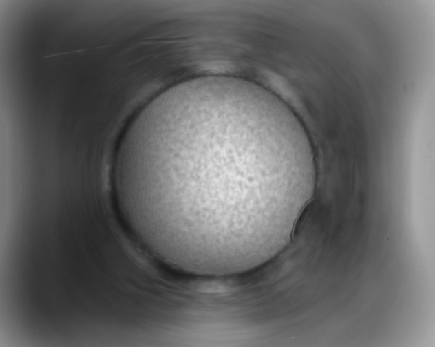 X0000088180106200705292000