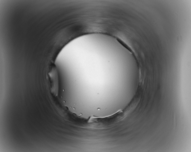 X0000088180109200705292000