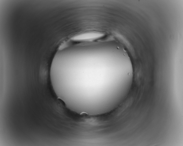 X0000088180113200705292000