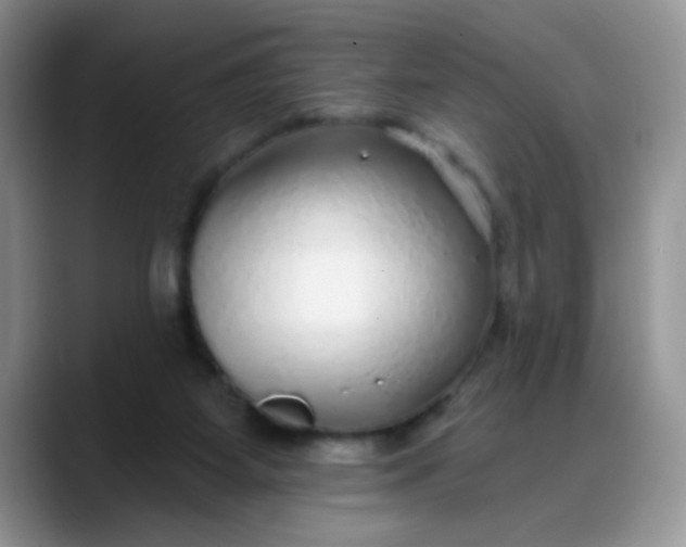 X0000088180115200705292000