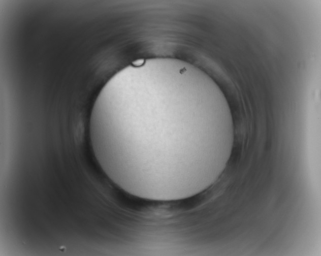 X0000088180120200705292000