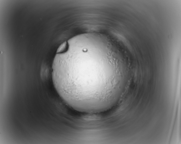 X0000088180123200705292000