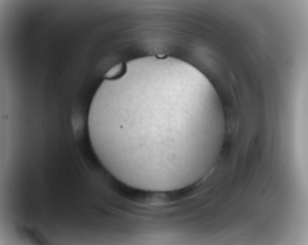 X0000088180124200705292000