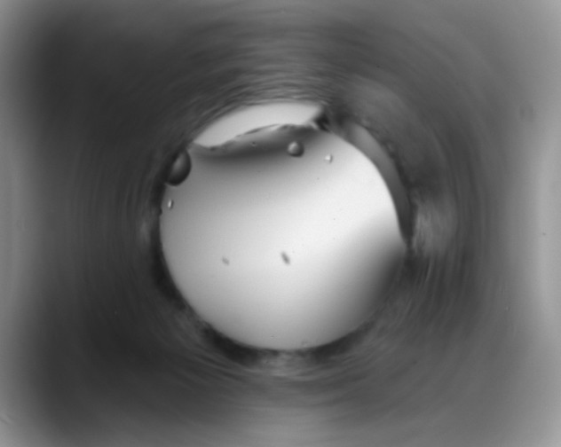 X0000088180125200705292000