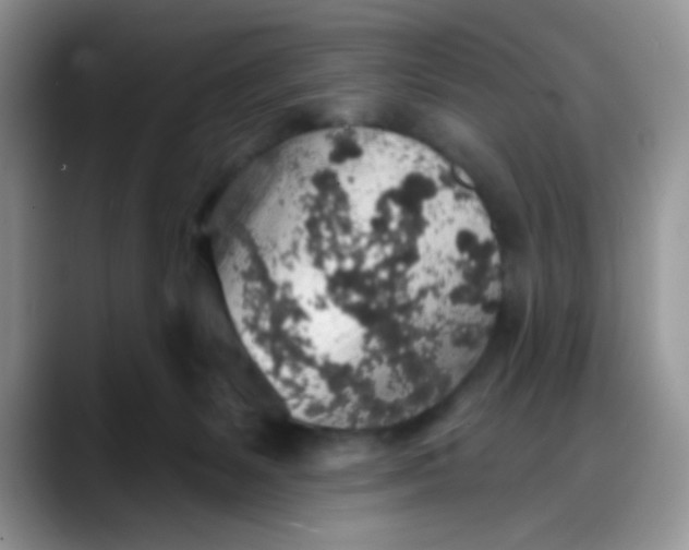 X0000088180127200705292000