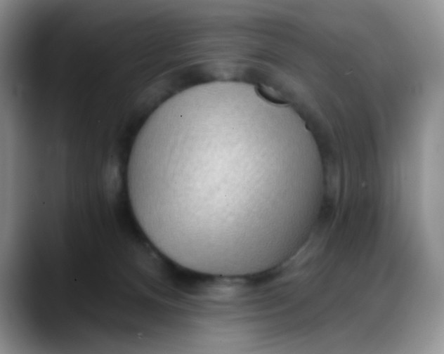 X0000088180128200705292000