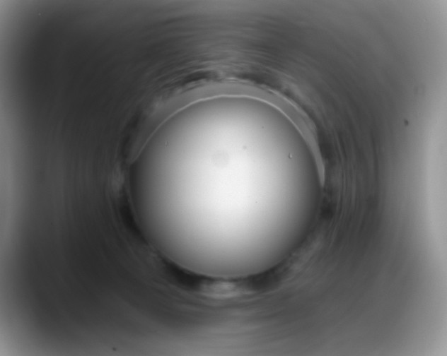 X0000088180129200705291959