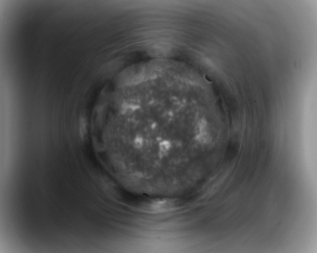 X0000088180130200705291959