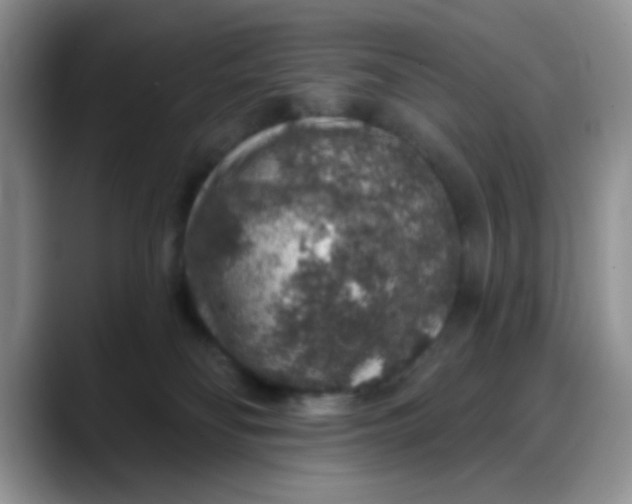 X0000088180134200705291959