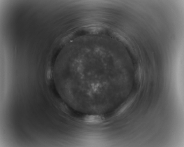 X0000088180137200705291959