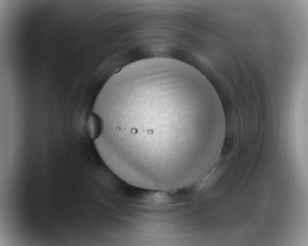 X0000088180140200705291959