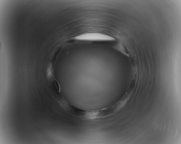 X0000088180143200705291959