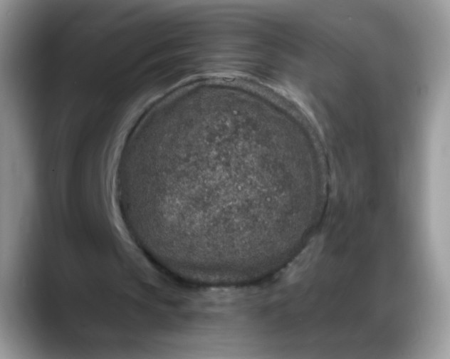 X0000088180145200705291959