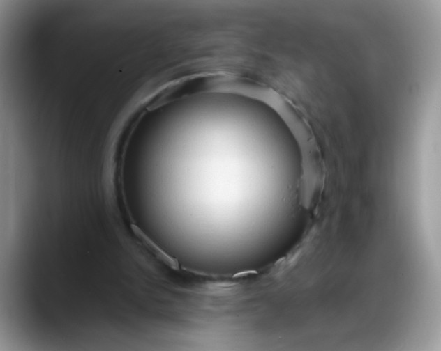 X0000088180150200705291959