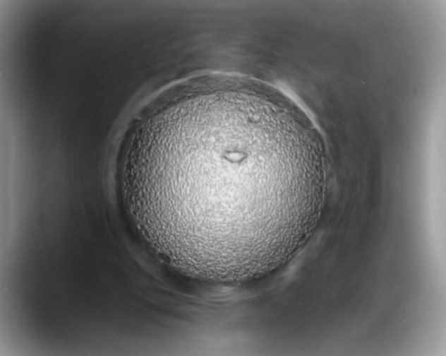 X0000088180151200705291959