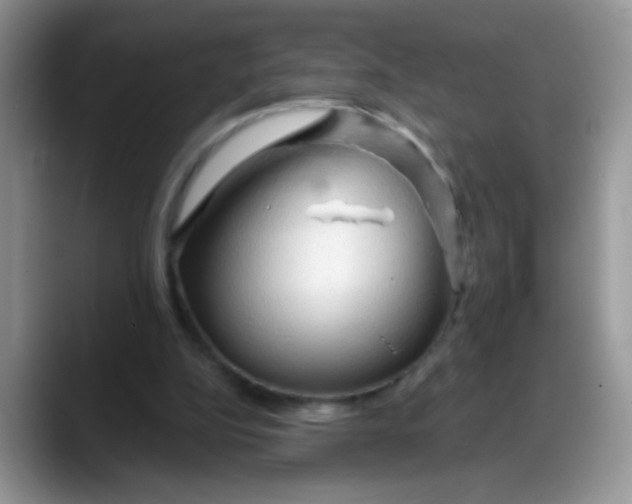 X0000088180152200705291959