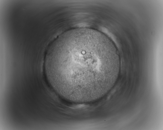 X0000088180153200705291959