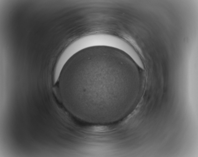 X0000088180154200705291959