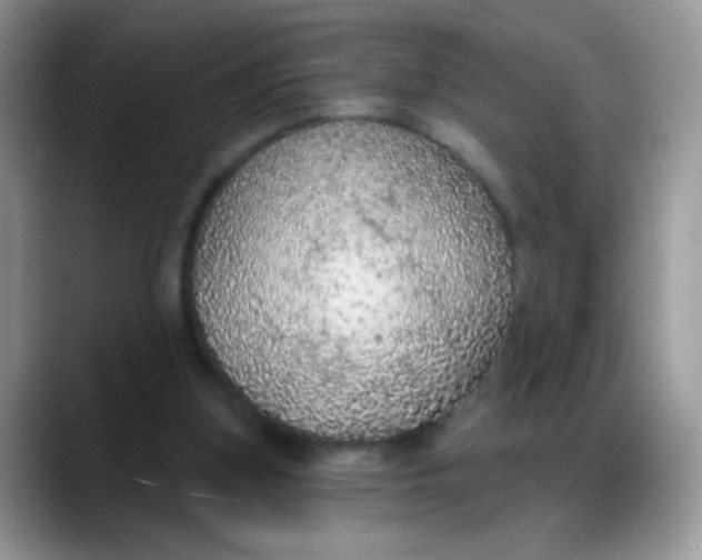 X0000088180155200705291959