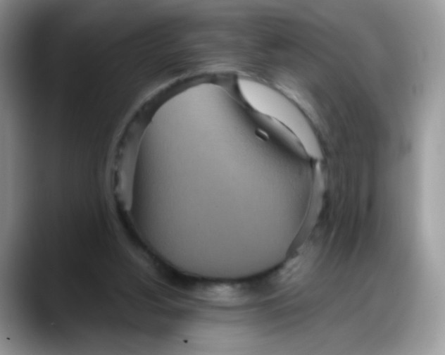 X0000088180156200705291959