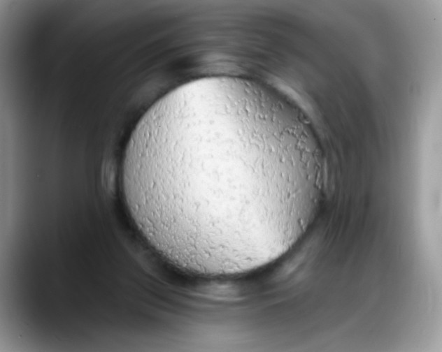 X0000088180157200705291959