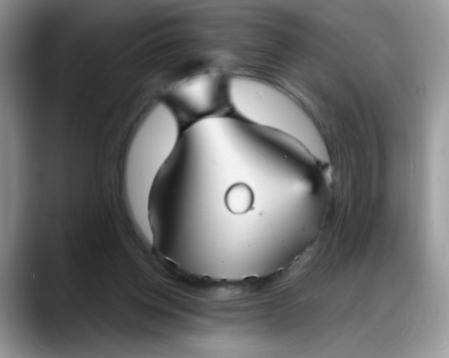 X0000088180158200705291959