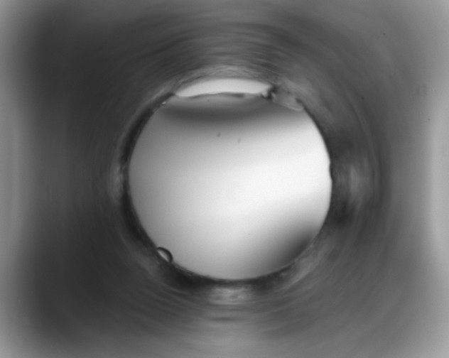 X0000088180160200705291959