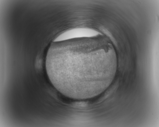 X0000088180161200705291959