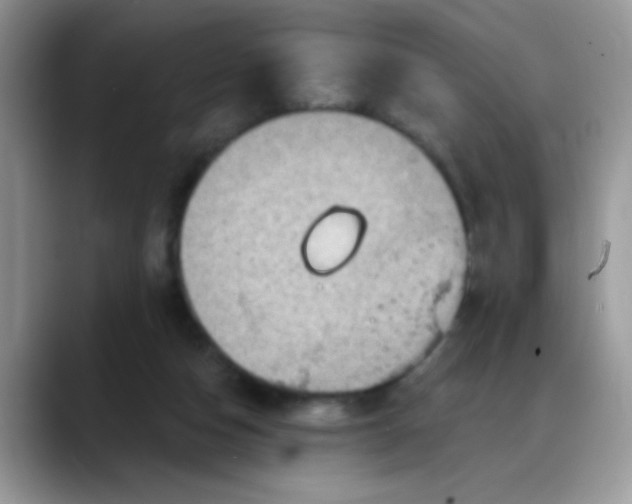 X0000088180162200705291959