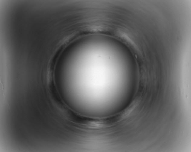 X0000088180164200705291959