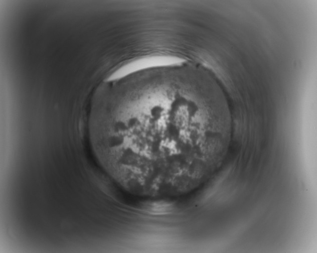 X0000088180165200705291959