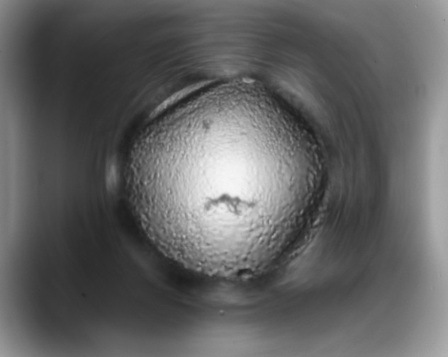 X0000088180166200705291959