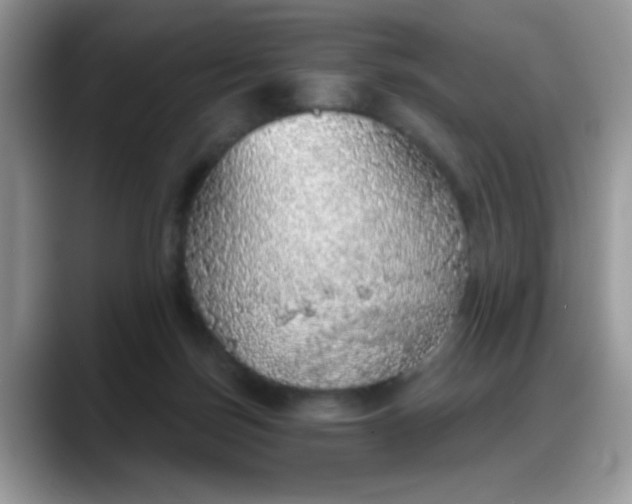 X0000088180171200705291959