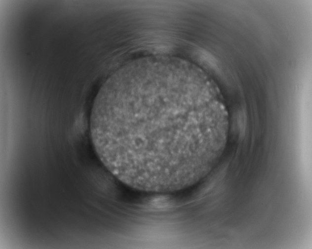 X0000088180173200705291959