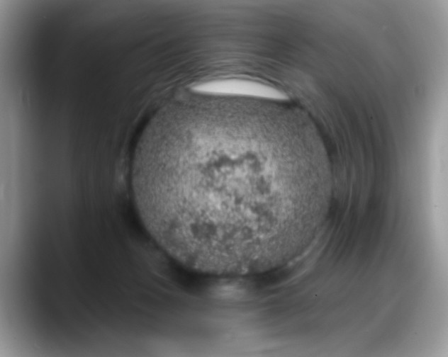 X0000088180175200705291959