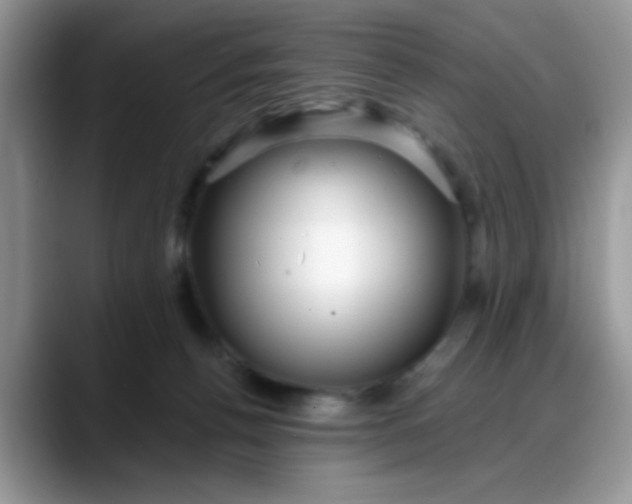 X0000088180176200705291959