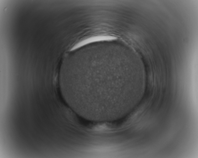 X0000088180177200705291959