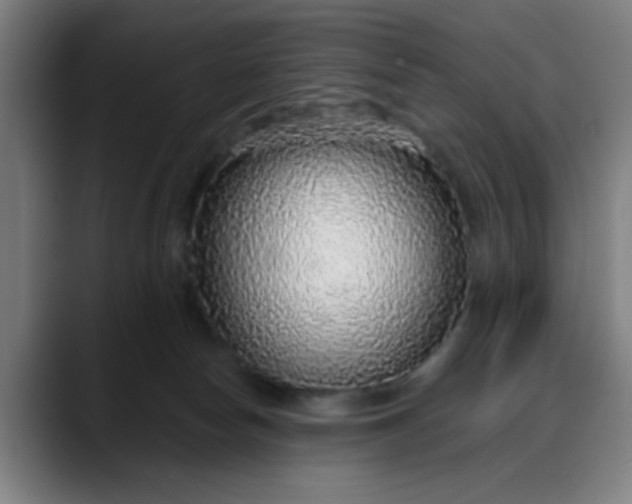 X0000088180178200705291959