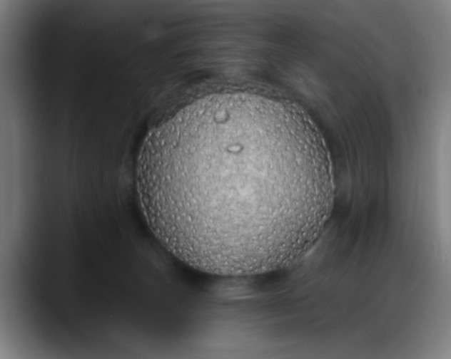 X0000088180179200705291959